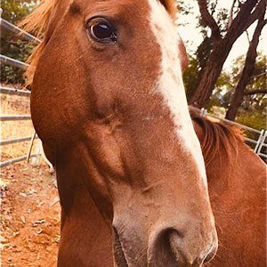 Meet your Posher, Ruby